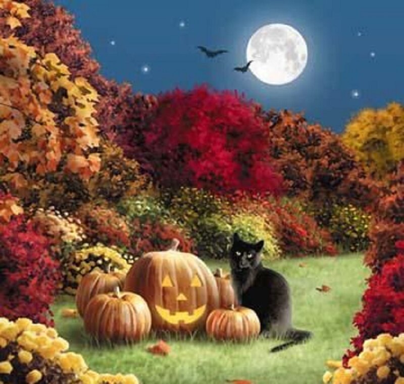 Black Cat with Pumpkins — Green