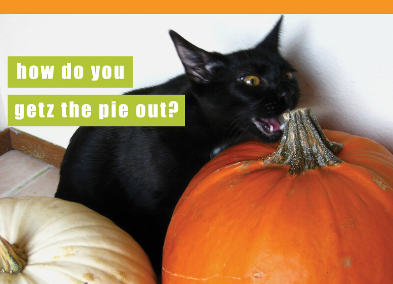 Black Cat with Pumpkins — Humorous