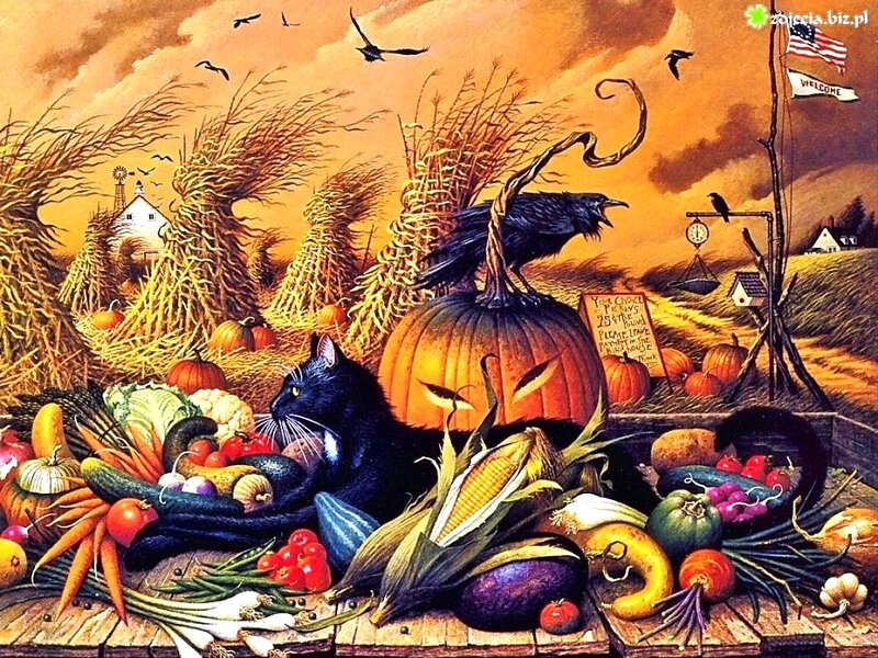 Black Cat with Pumpkins — Orange, Dramatic
