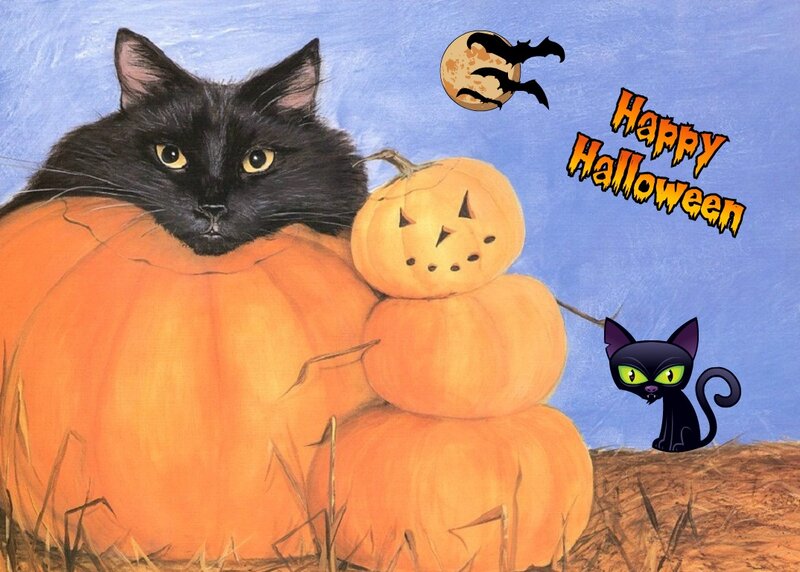 Black Cat with Pumpkins — Orange, Festive, Night, Illustration