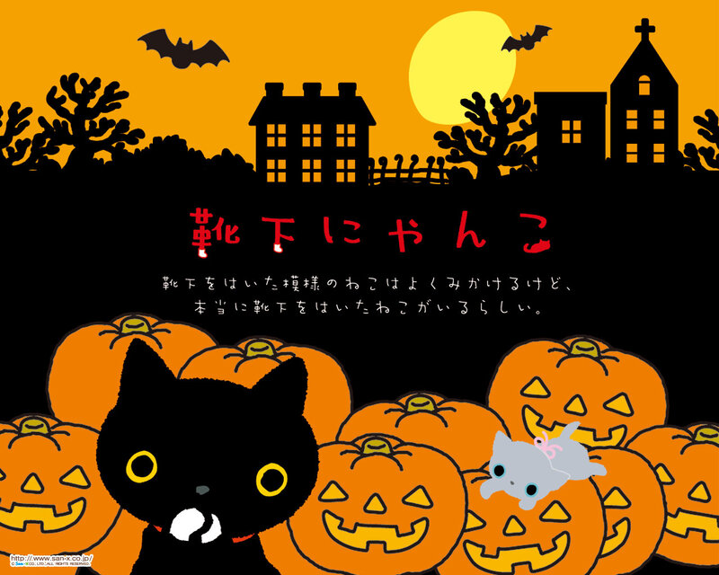Black Cat with Pumpkins — Orange, Festive, Night