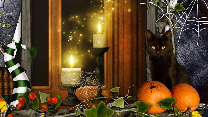 Black Cat with Pumpkins — Orange, Magical