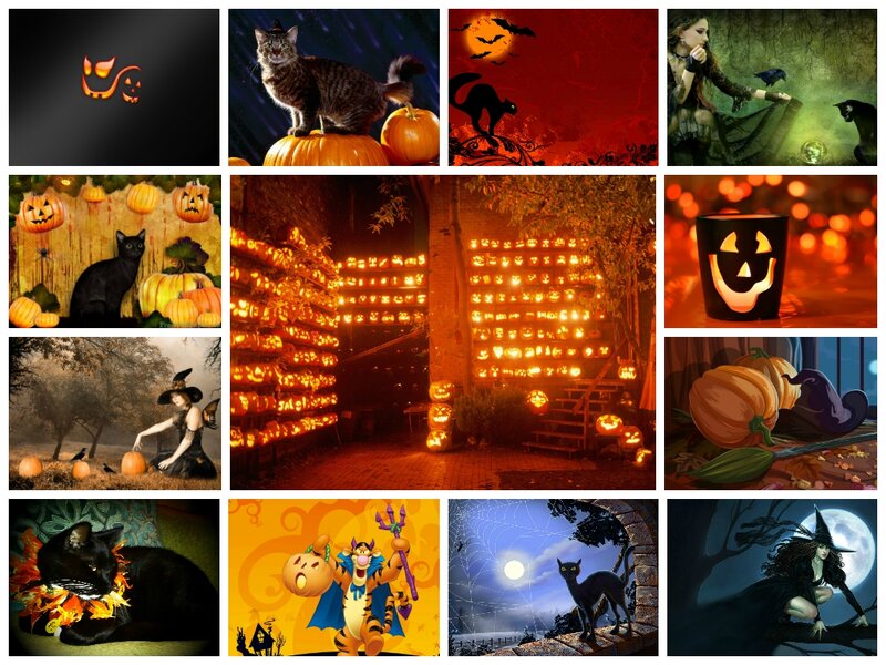 Black Cat with Pumpkins — Orange, Spooky