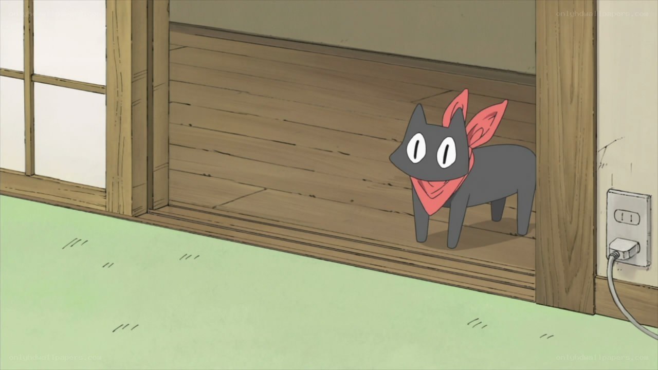 black cat with red bandana