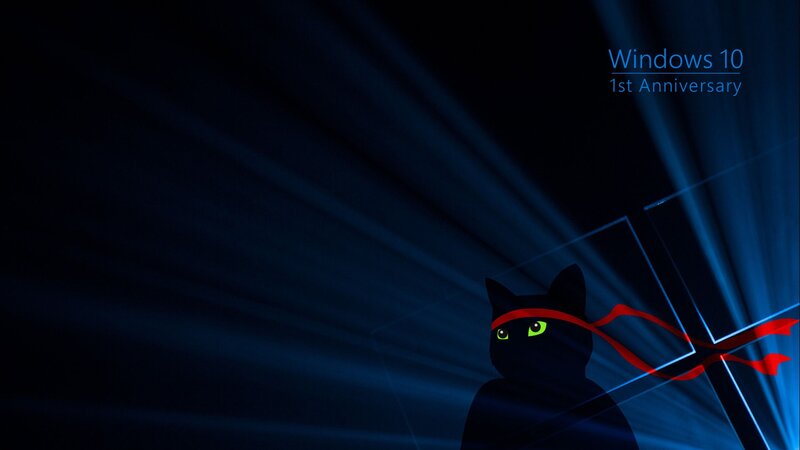 Black Cat with Red Bandana — Blue