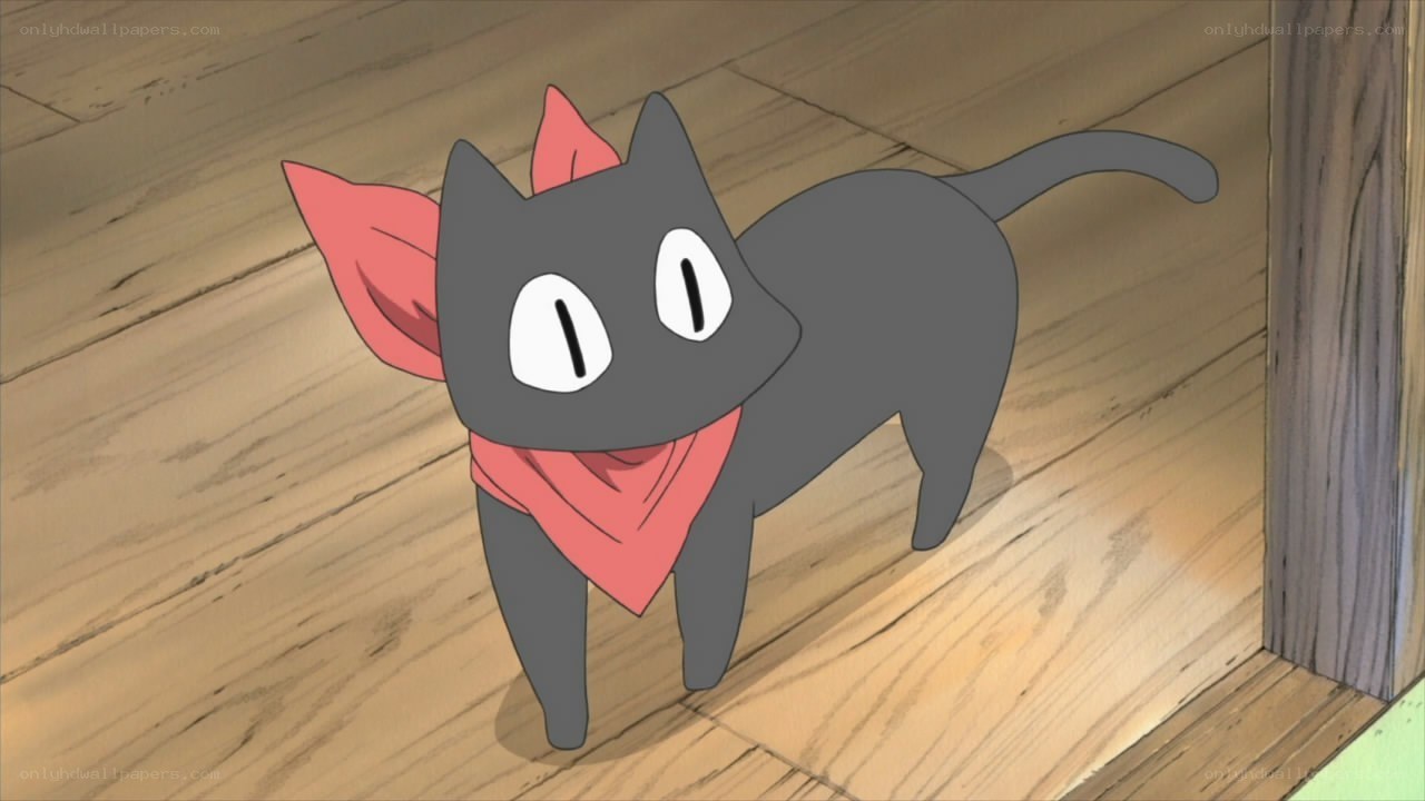 black cat with red bandana