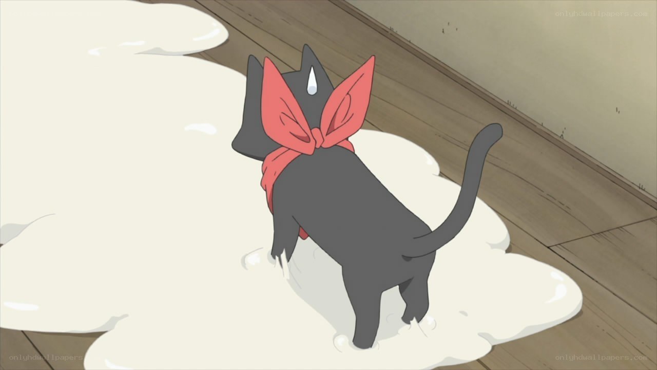 black cat with red bow