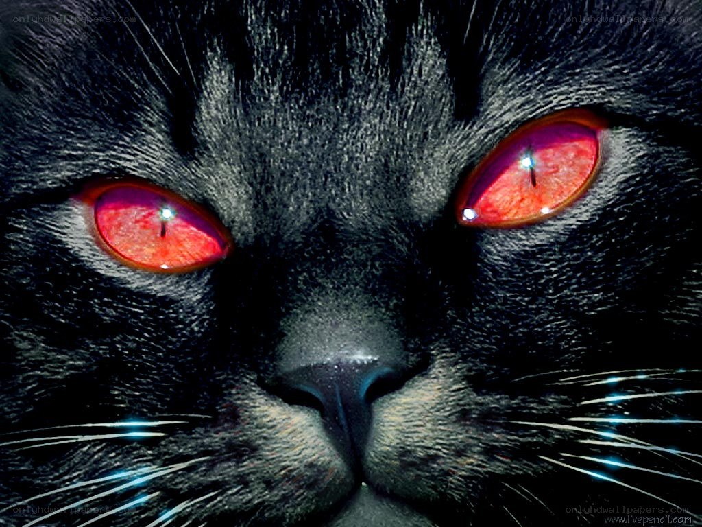 black cat with red eyes