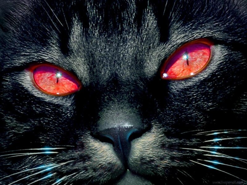 Black Cat with Red Eyes — Dramatic, Digital Art, Whiskers