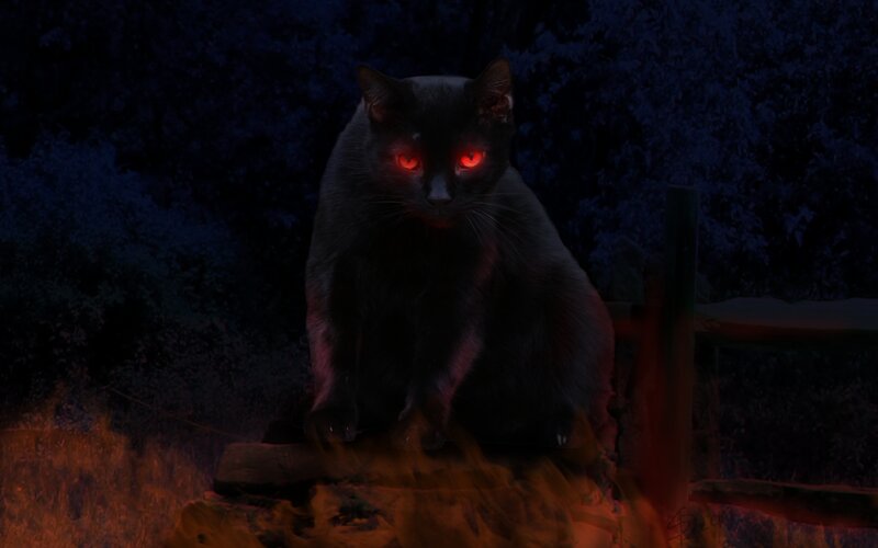 Black Cat with Red Eyes — Dramatic, Night