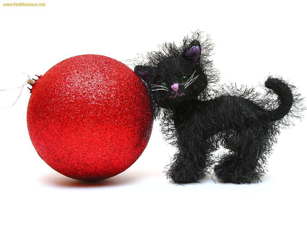 Black cat with red ornament