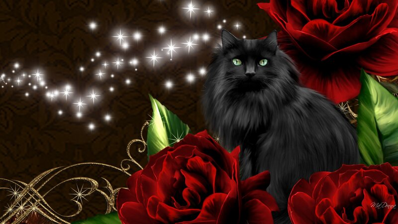 Black Cat with Red Roses — Dramatic, Digital Art