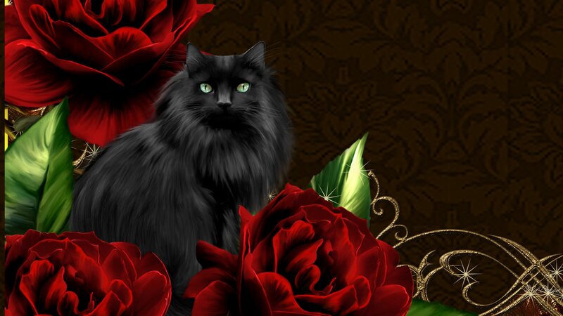 Black Cat with Red Roses — Dramatic