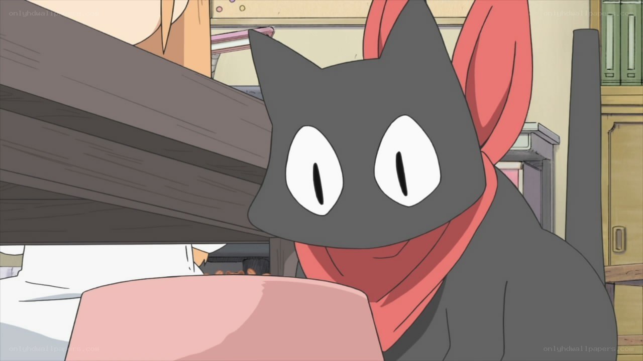 black cat with red scarf