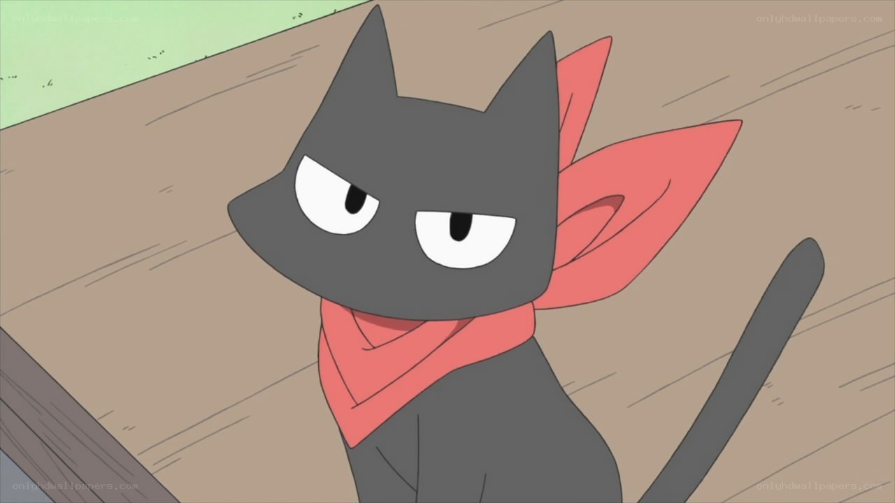 black cat with red scarf