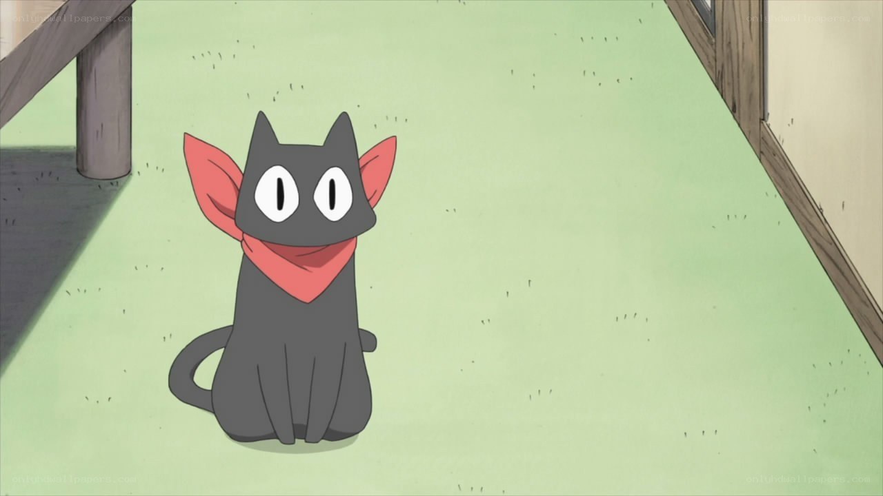 black cat with red scarf