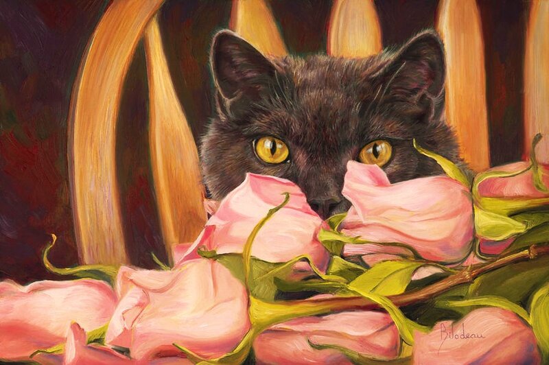 Black Cat with Roses