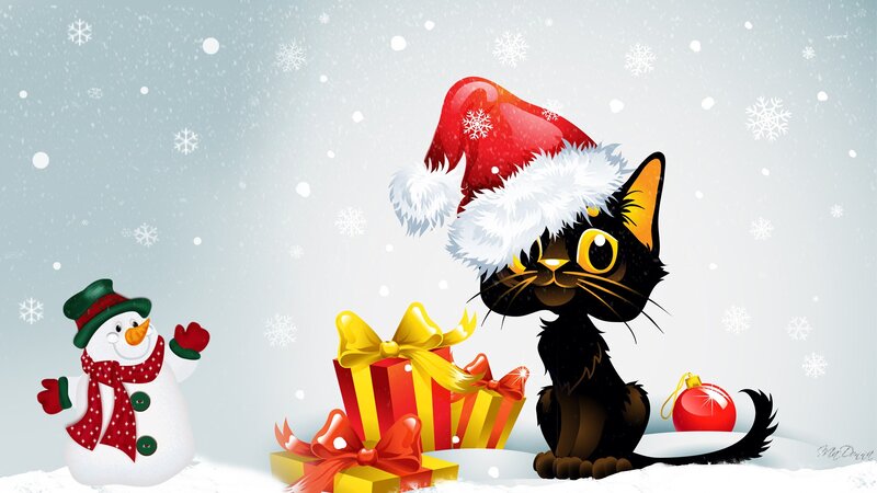 Black Cat with Santa Hat