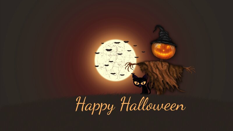 Black Cat with Scarecrow