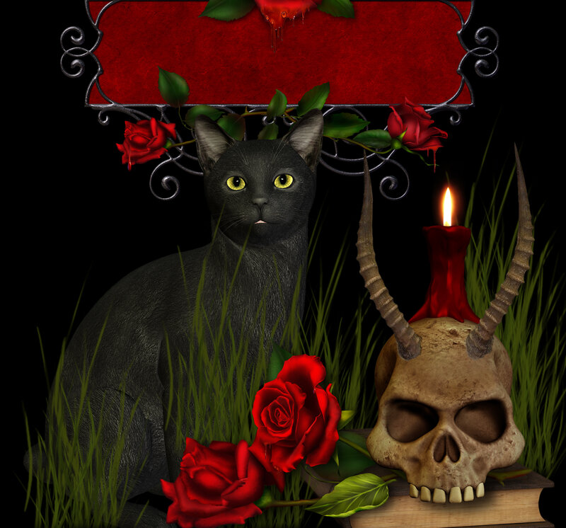Black Cat with Skull