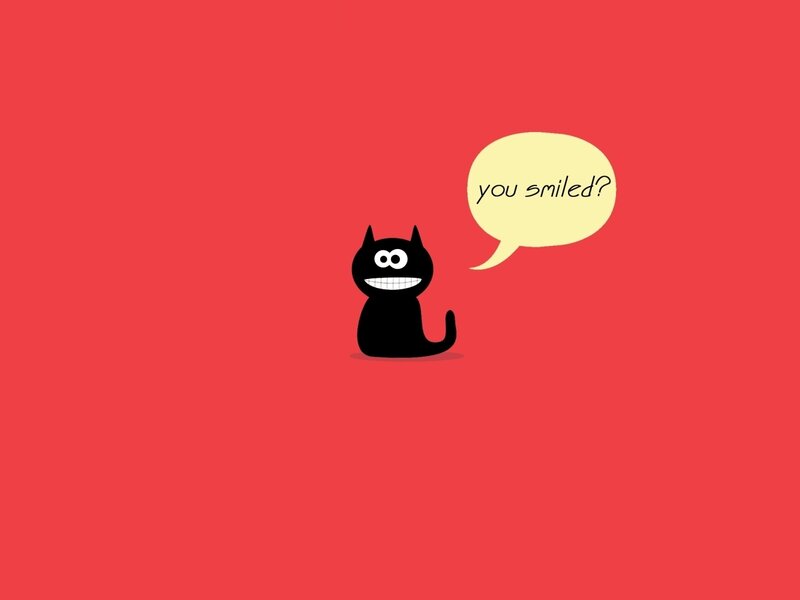 black cat with speech bubble