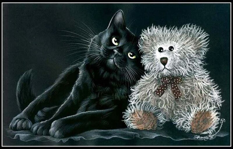 Black Cat with Teddy Bear