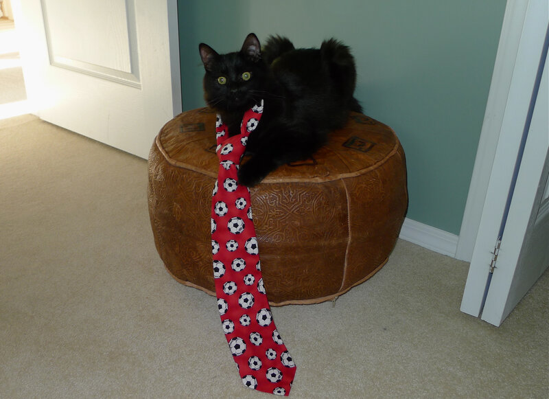 Black Cat with Tie