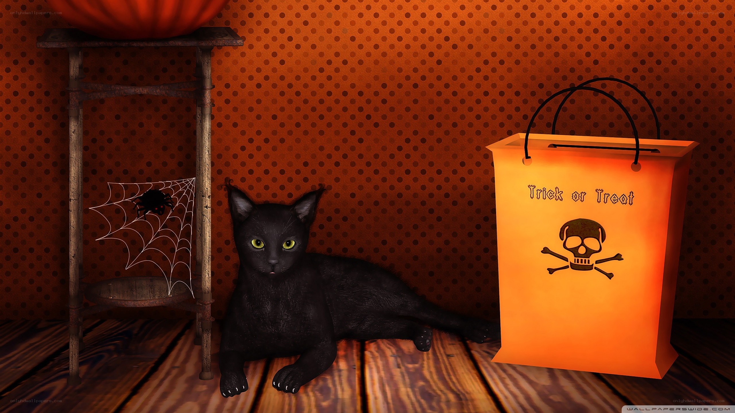Black cat with trick-or-treat bag