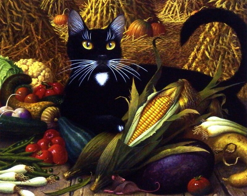 Black Cat with Vegetables