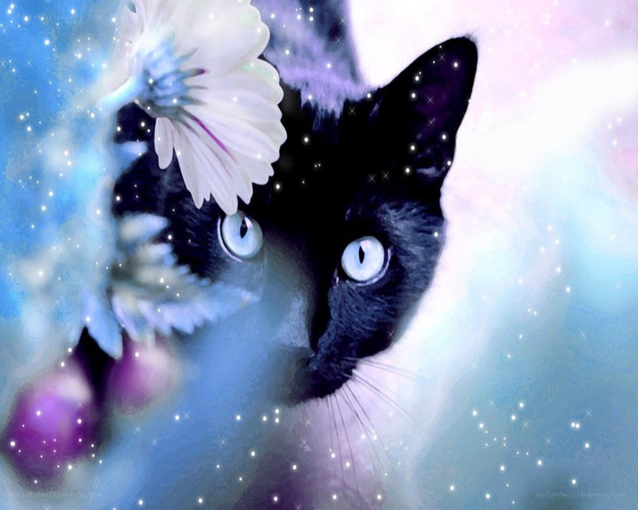 black cat with white flower