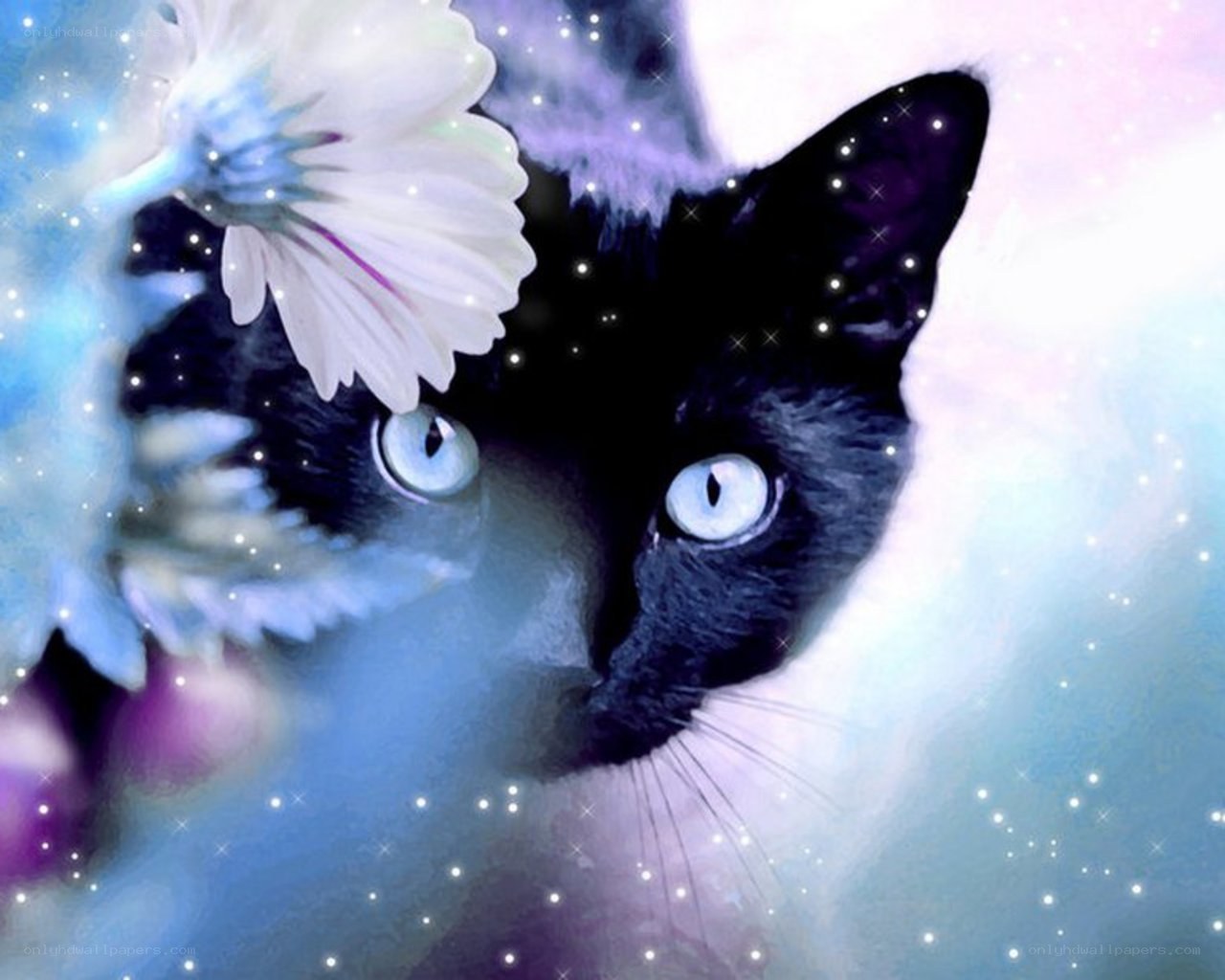 black cat with white flower