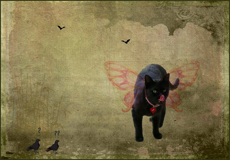 Black Cat with Wings — Mysterious