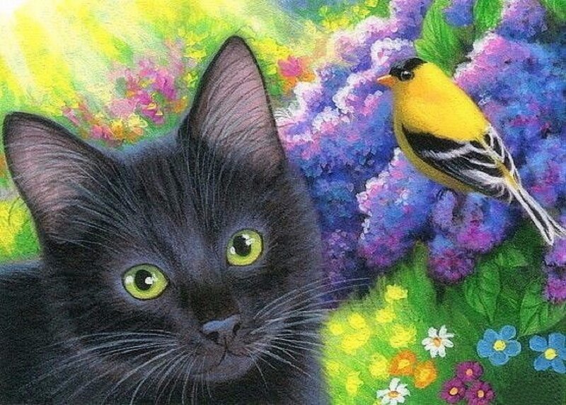 Black Cat with Yellow Bird