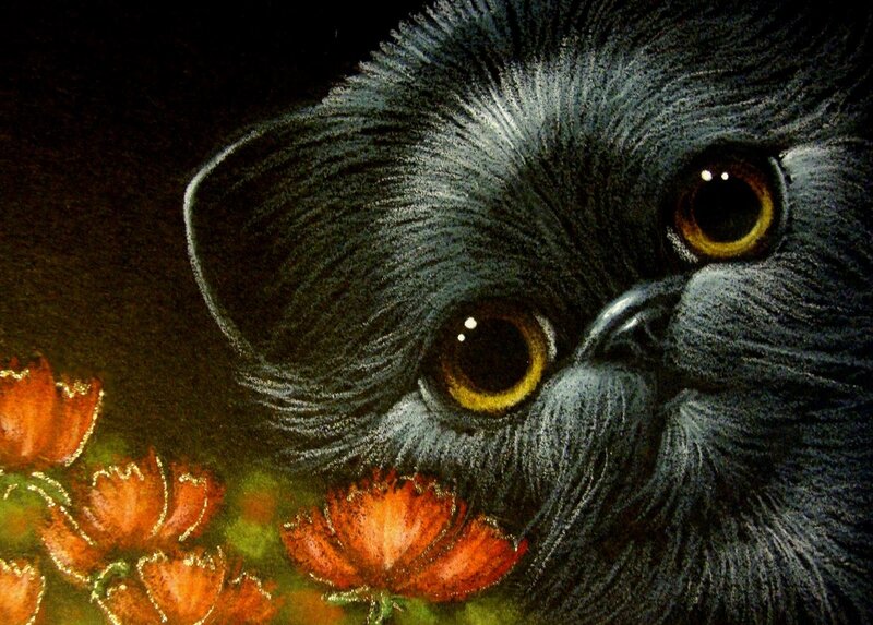 Black Cat with Yellow Eyes — Dramatic, Illustration