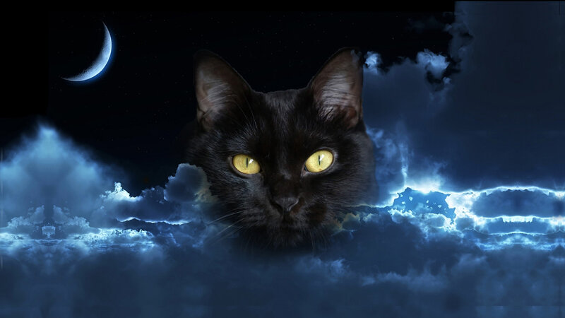 Black Cat with Yellow Eyes — Dramatic, Night, Digital Art