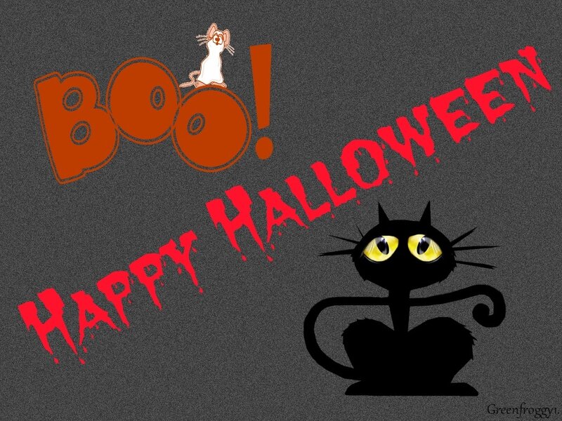Black Cat with Yellow Eyes — Gray, Spooky