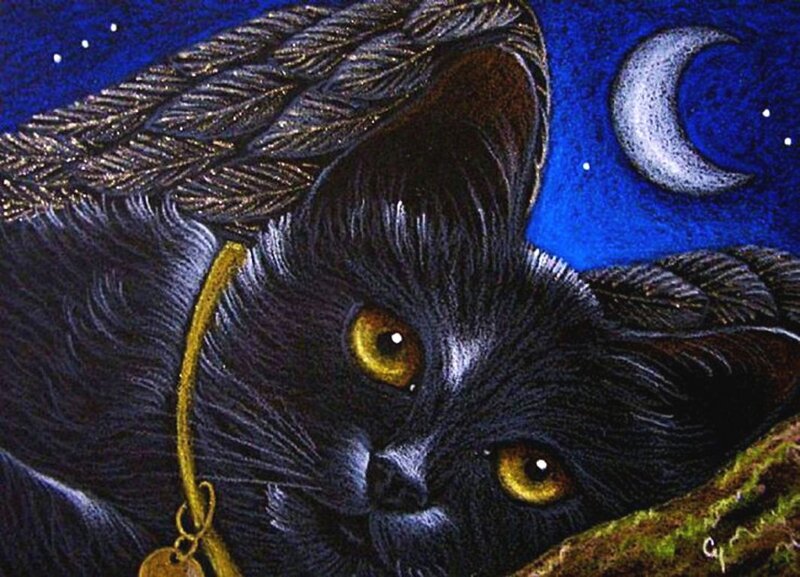 Black Cat with Yellow Eyes — Mysterious