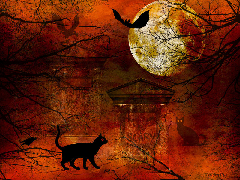 Black Cats and Bats