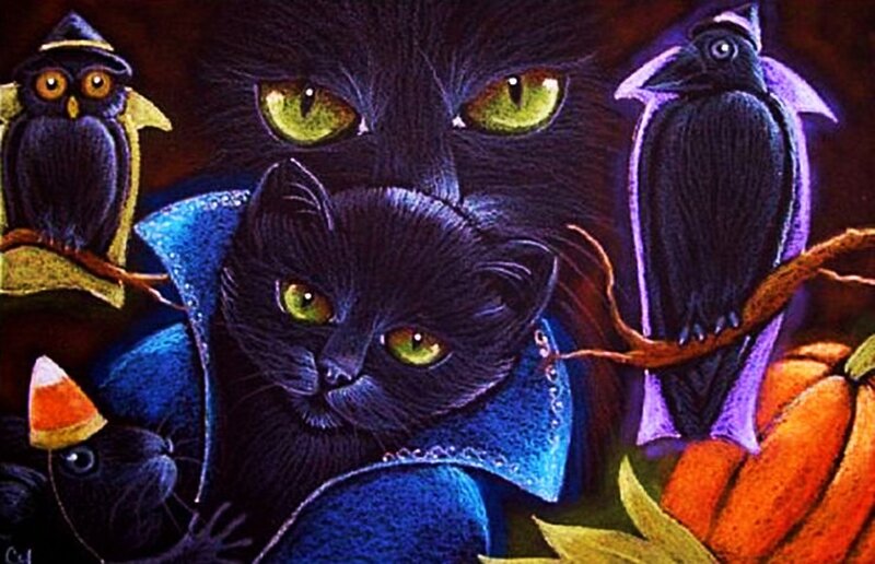 Black Cats and Birds