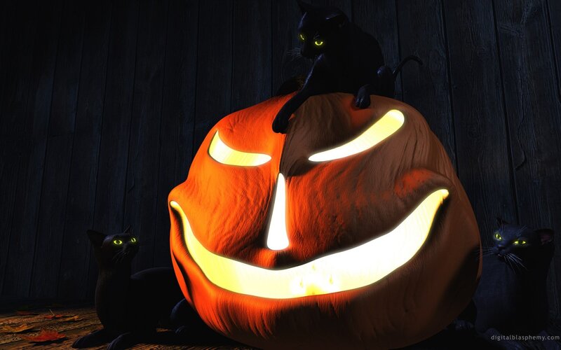 Black Cats and Jack-o-lantern — Orange