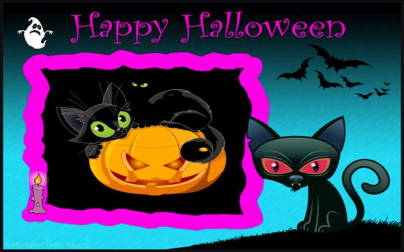 Black Cats and Jack-o-lantern