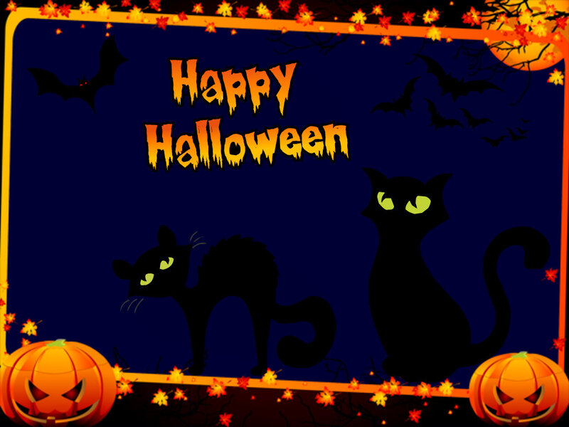 Black Cats and Pumpkins