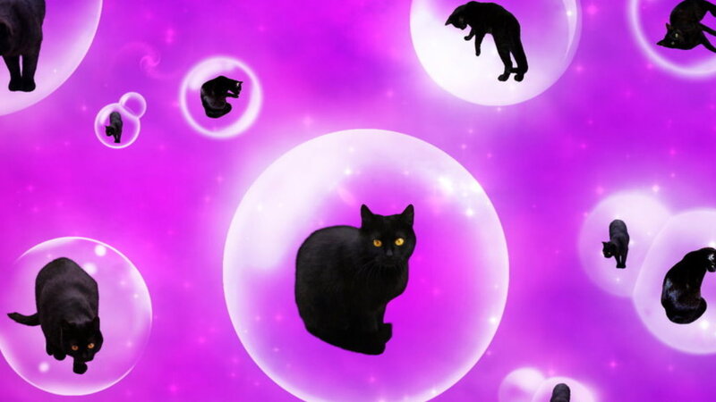 Black Cats in Bubbles