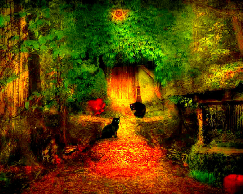 Black Cats in Garden