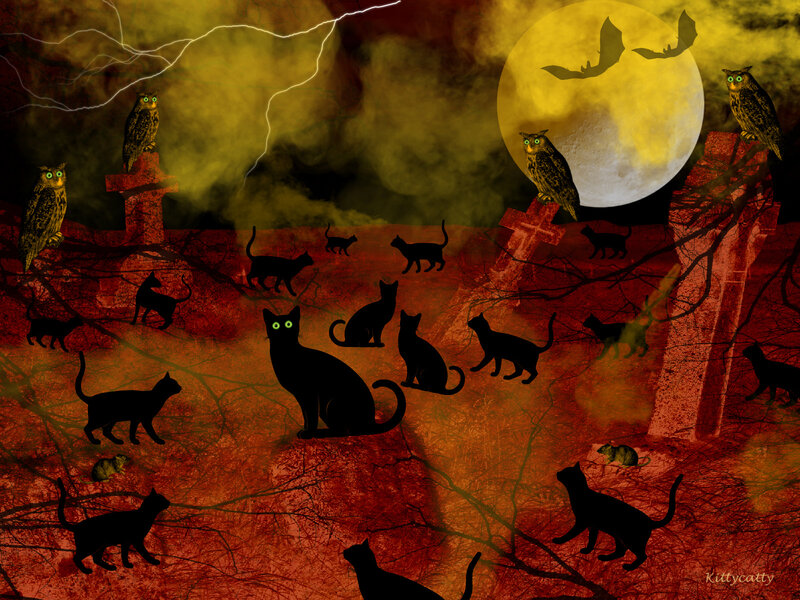 Black Cats in Graveyard