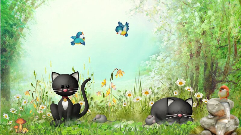 Black Cats in Meadow