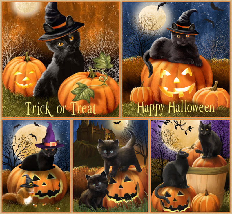 Black Cats in Pumpkins