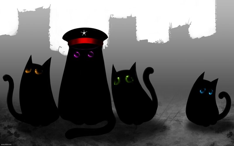 Black Cats in Ruins