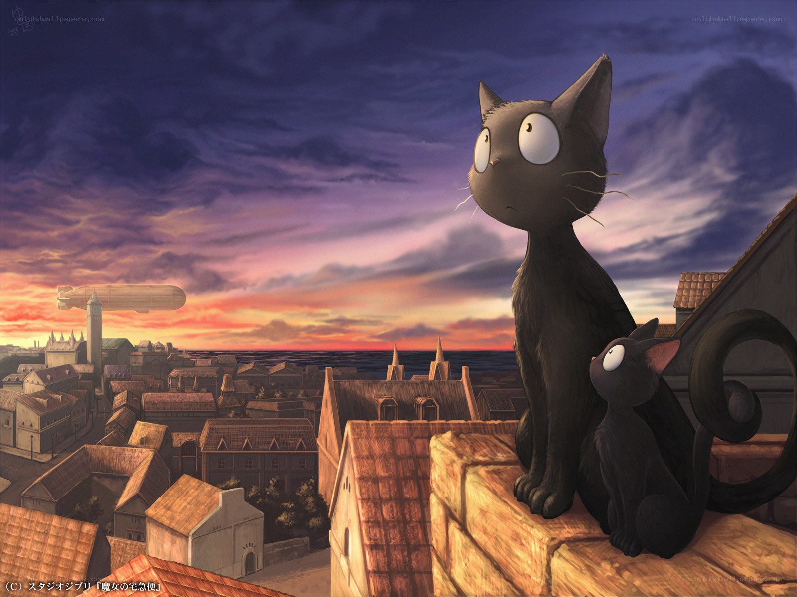 Black cats on a rooftop at sunset