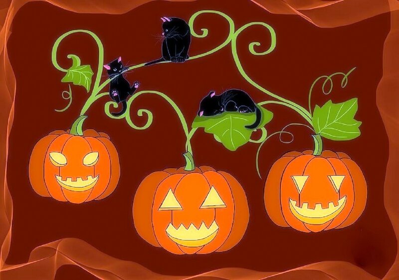 Black Cats on Pumpkins — Orange, Festive